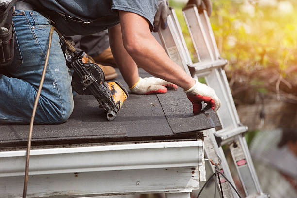 Professional Roofing Contractor in Pierce, NE